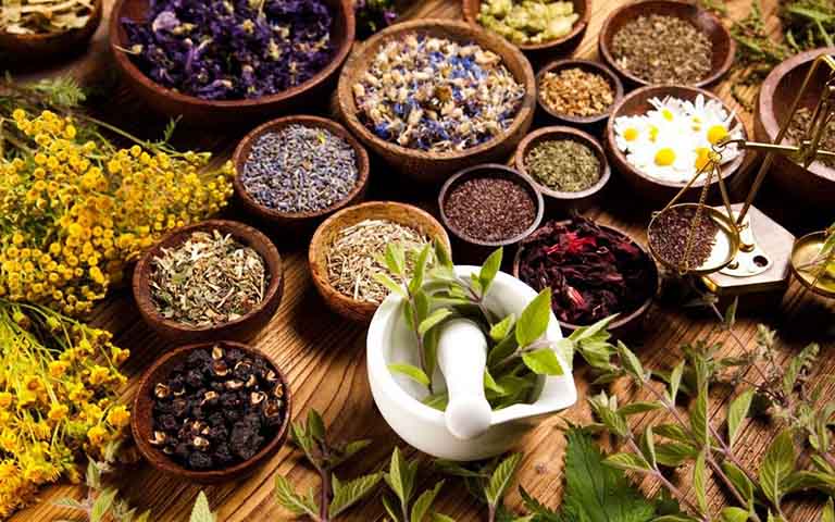 chuyển hàng thuốc nam đi mỹ