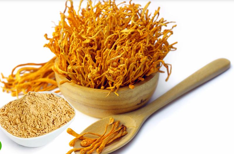 gửi đông trùng hạ thảo đi nước ngoài
