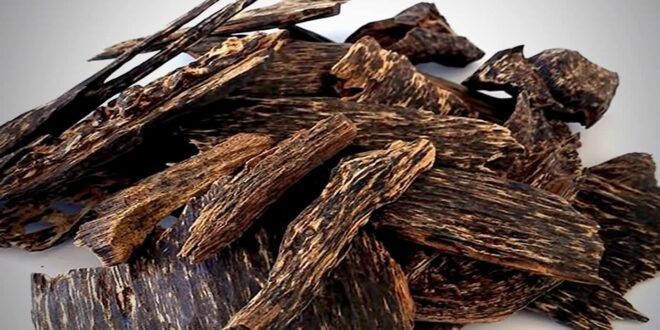 gửi trầm hương đi trung đông