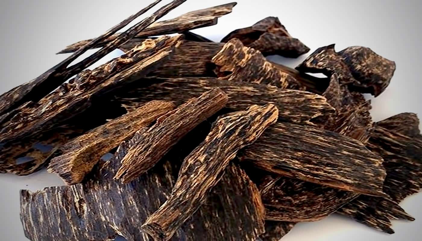 gửi trầm hương đi trung đông