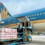 bảng giá cước chuyển phát dhl 2024